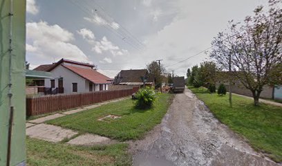 Samostalna Radnja Za Taxi Prevoz Putnika Aleksandar Pap Preduzetnik Zrenjanin