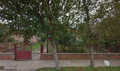 Dragan Ignjatovic PR, Taksi Prevoz , Zrenjanin
