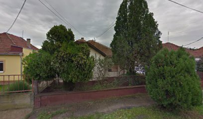 Samostalni Prevoz Putnika Taxi Aleksandar Cukic PR Zrenjanin
