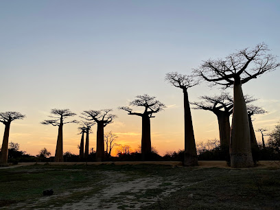 Taxi guide Morondava Boris