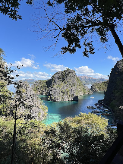 Darlyn Tours