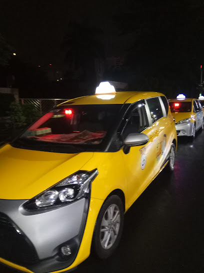 新市南科善化TAXI計程車 預約高鐵、機場（加Line預約享有折扣優惠）接送服務 舒適 安全 快速