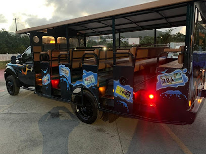 Island Safari & Taxi St. Croix, USVI