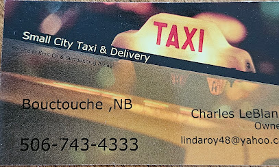 Small City Taxi & Delivery