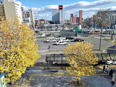 帯広駅北口タクシー乗り場