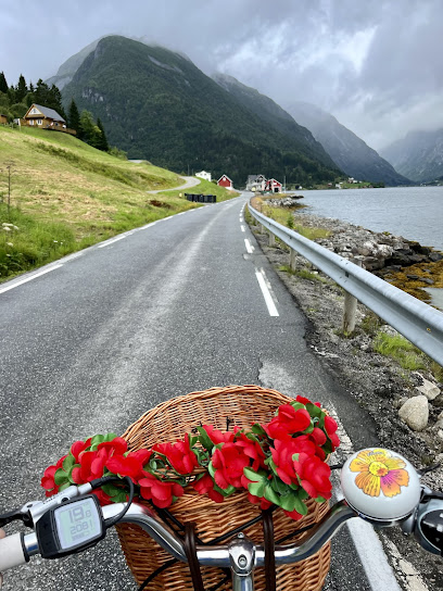 Balestrand fjord adventures