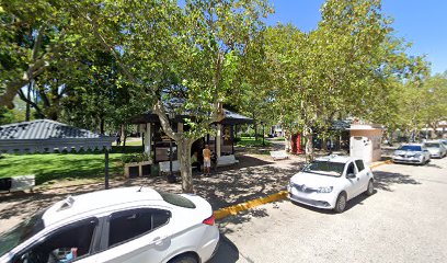 Taxis Agrupacion Plaza Mitre