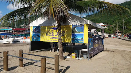 Victor Taxi Boat