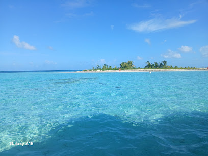 libellule excursion guadeloupe