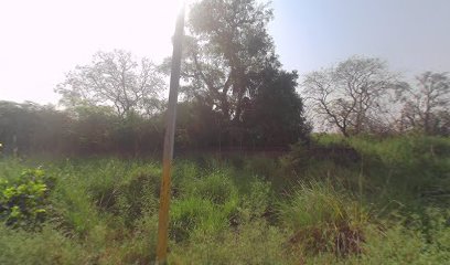 Jitendra Travel