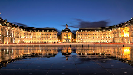 Bordeaux-Cab, Bordeaux Taxi