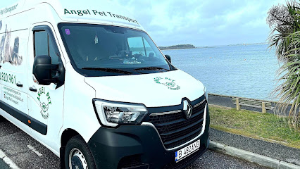 Angel Pet Transport