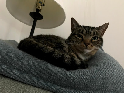 Precious Hearts Pet Sitting, LLC