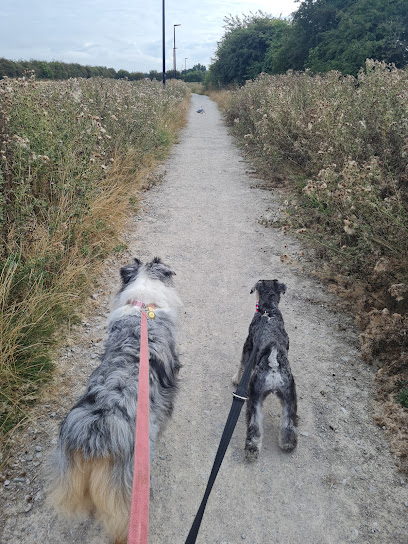 Yorkshire Paws - Pet Services in East Leeds