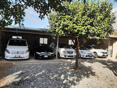 Ncc & Taxi di Falduto Giampaolo “i bronzi”