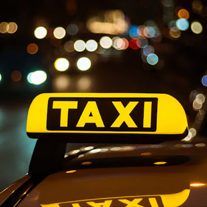 Taxi Reggio Calabria - Demetrio Logiudice