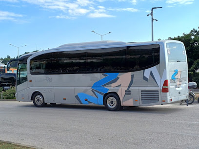 Andreis trans