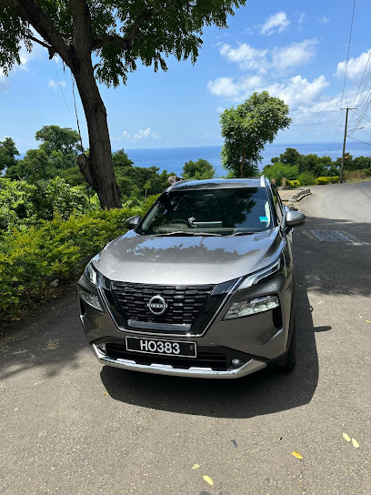 LUCON - “Powered by SLUConnect” - St.Lucia Airport Transfers & Tours