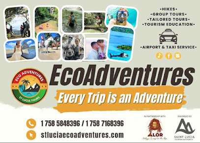 Eco Adventures Taxi & Tours