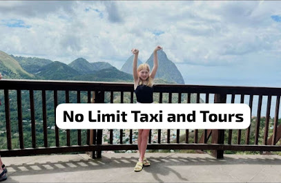 No Limit Taxi And Tours