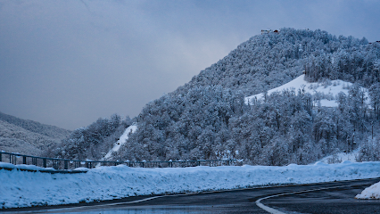Pervaya Transfernaya Sluzhba Sochi