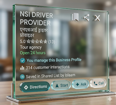NSI DRIVER PROVIDER