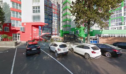 Novoye Zheltoye