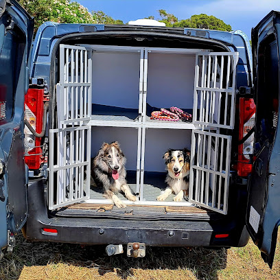 transport animalier corse