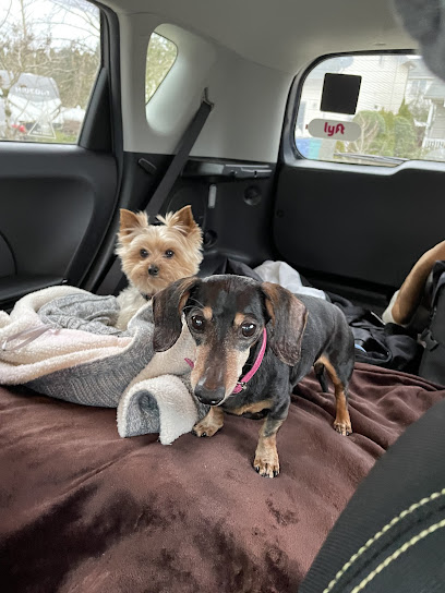 Happy Tails Pet Sitting & More
