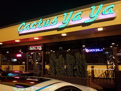 Cactus Ya Ya