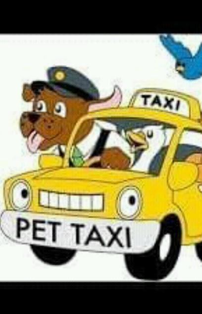 PET TAXI NICARAGUA