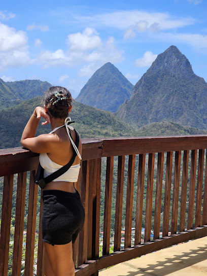 Island Chauffeur Taxi Tours