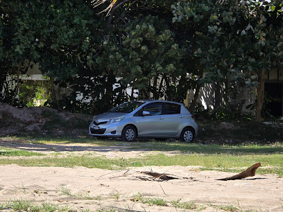132 Car Rental