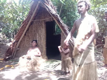 Edmond Lulu Port Vila Tours and Transfer.