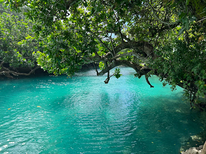 Vila Hope Tours & Transfers