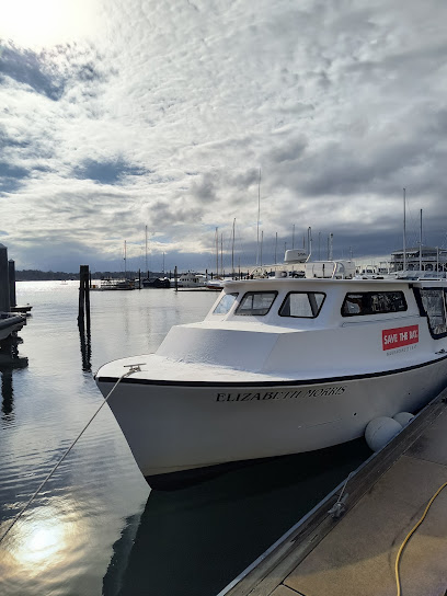 Save The Bay Seal Tours