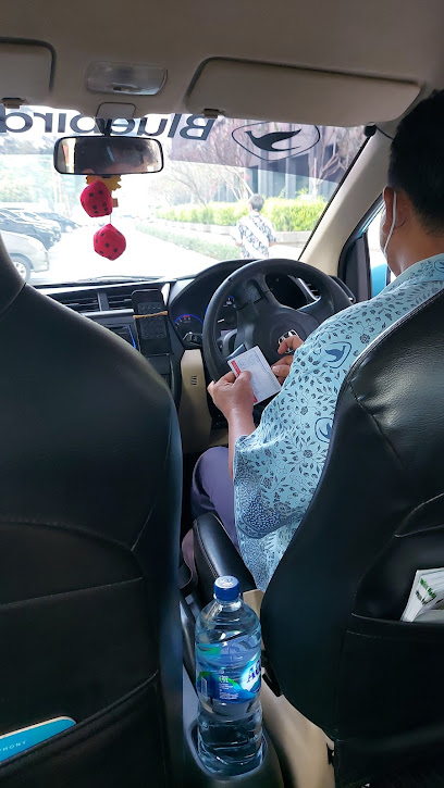 Taxi Services - Bluebird