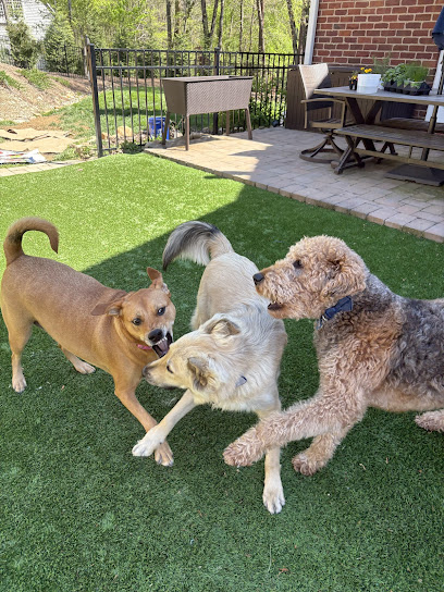 Fur Babies Pet Sitting by Mikayla, LLC