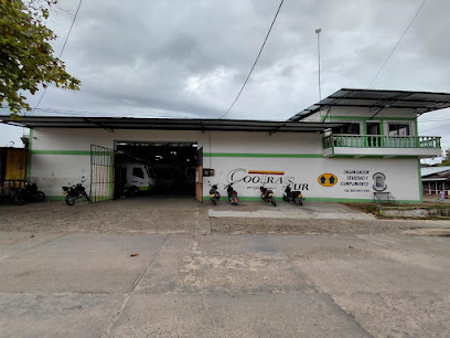Cooperativa Integral de Transporte del Sur