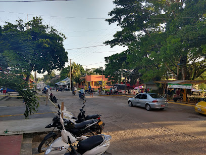 Leticia Amazonas Jungle Tours Operator