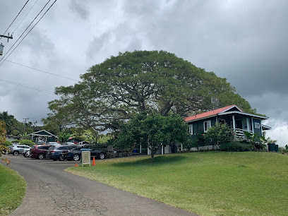 Kailani Tours Hawaii