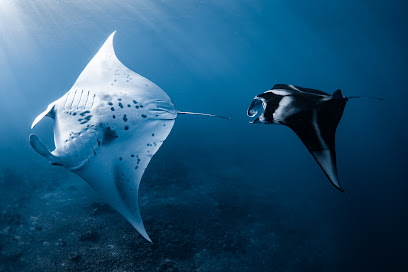 Ocean Eco Tours
