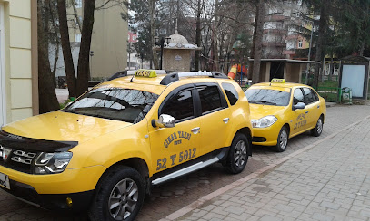 Plane Taxis