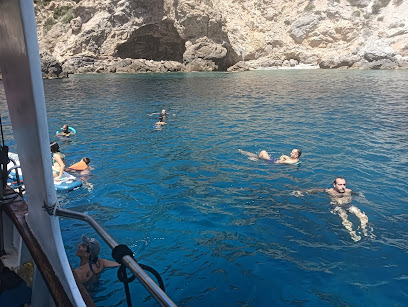 Secret Boat Fly Seagull
