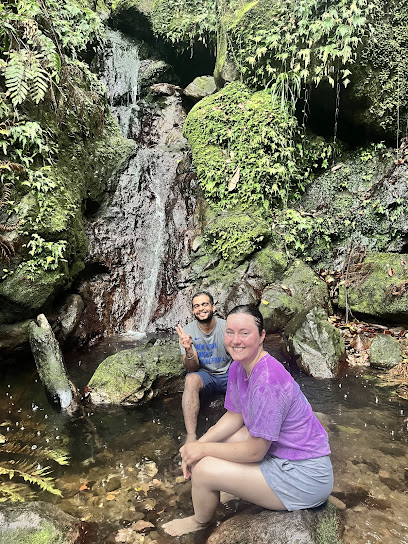 Island Buzz Tours Nevis
