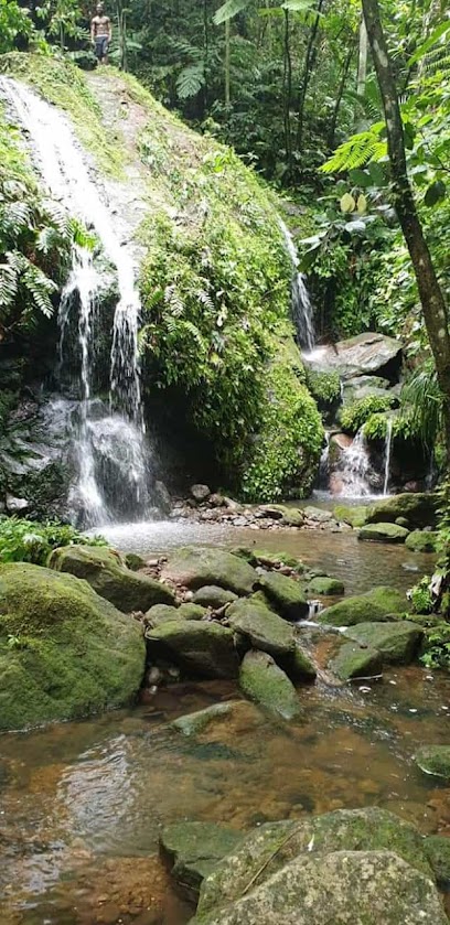 Hills & Valleys Hike and Tours