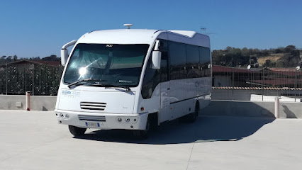GLOBALSERVICE VIAGGI
