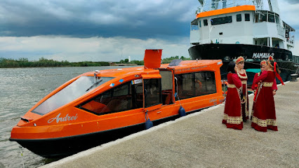Transport Mila 23 Pelicanul Express