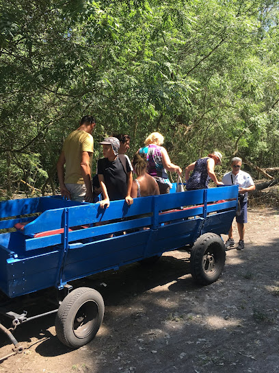 Excursii In Delta Dunarii | Oferte si Trasee 2026