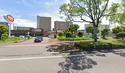 宮崎国際タクシー [木花]